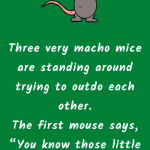 Bad Mice Team
