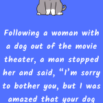 I Was Amazed By Your Dog