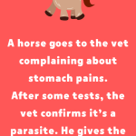 A Horse With Stomach Problems