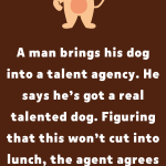 Dog At Talent Agency